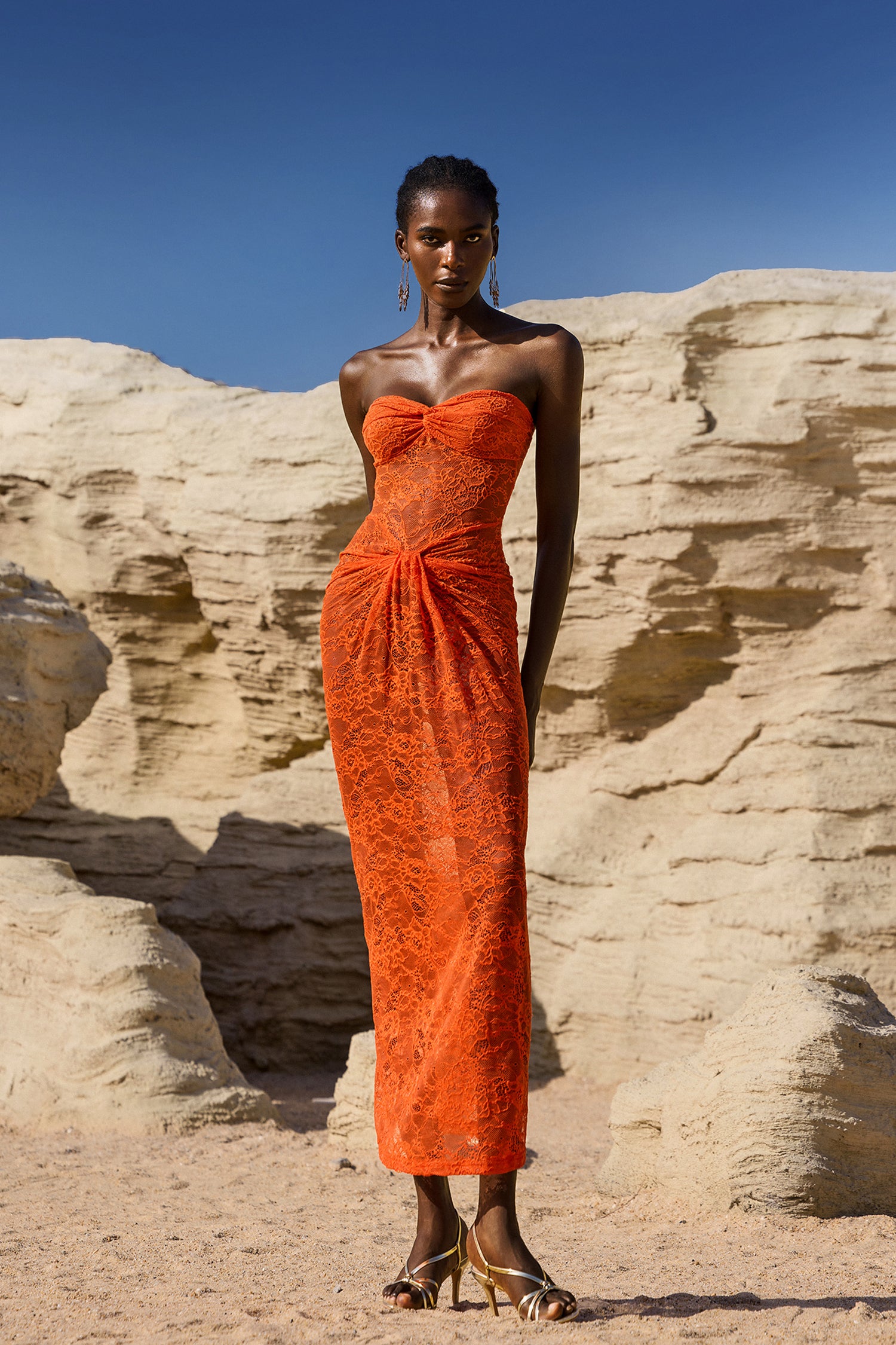Selien Sleeveless Lace Maxi Dress	