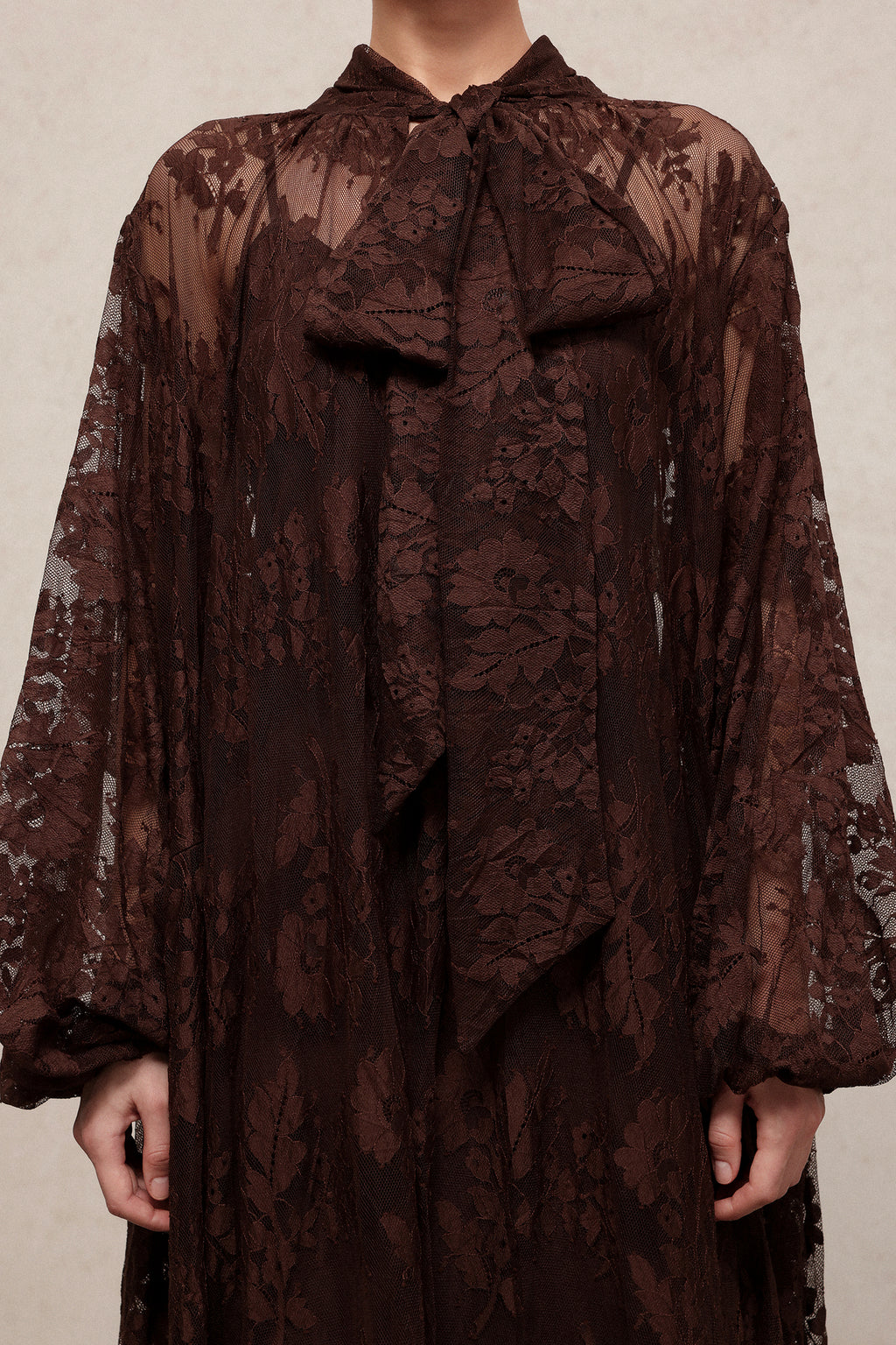 Deliyn Resort Flowy Long Sleeve Embroidered Mesh Lace Maxi Dress	