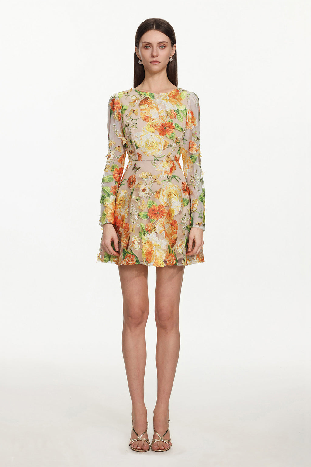Vicky Romantic Tailored Long Sleeve Embroidered Floral Mini Dress	