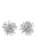Edmee Tassels Fireworks Earrings	
