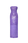 Xapana Sequin Backless Maxi Dress	