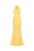 Ulasa Sleeveless Ruched Mesh Maxi Dress	