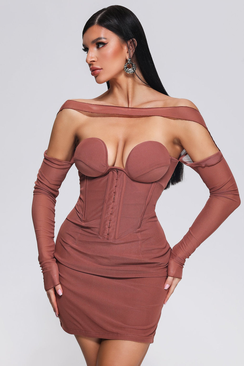Slare Mesh Mini Dress	