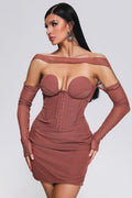 Slare Mesh Mini Dress	