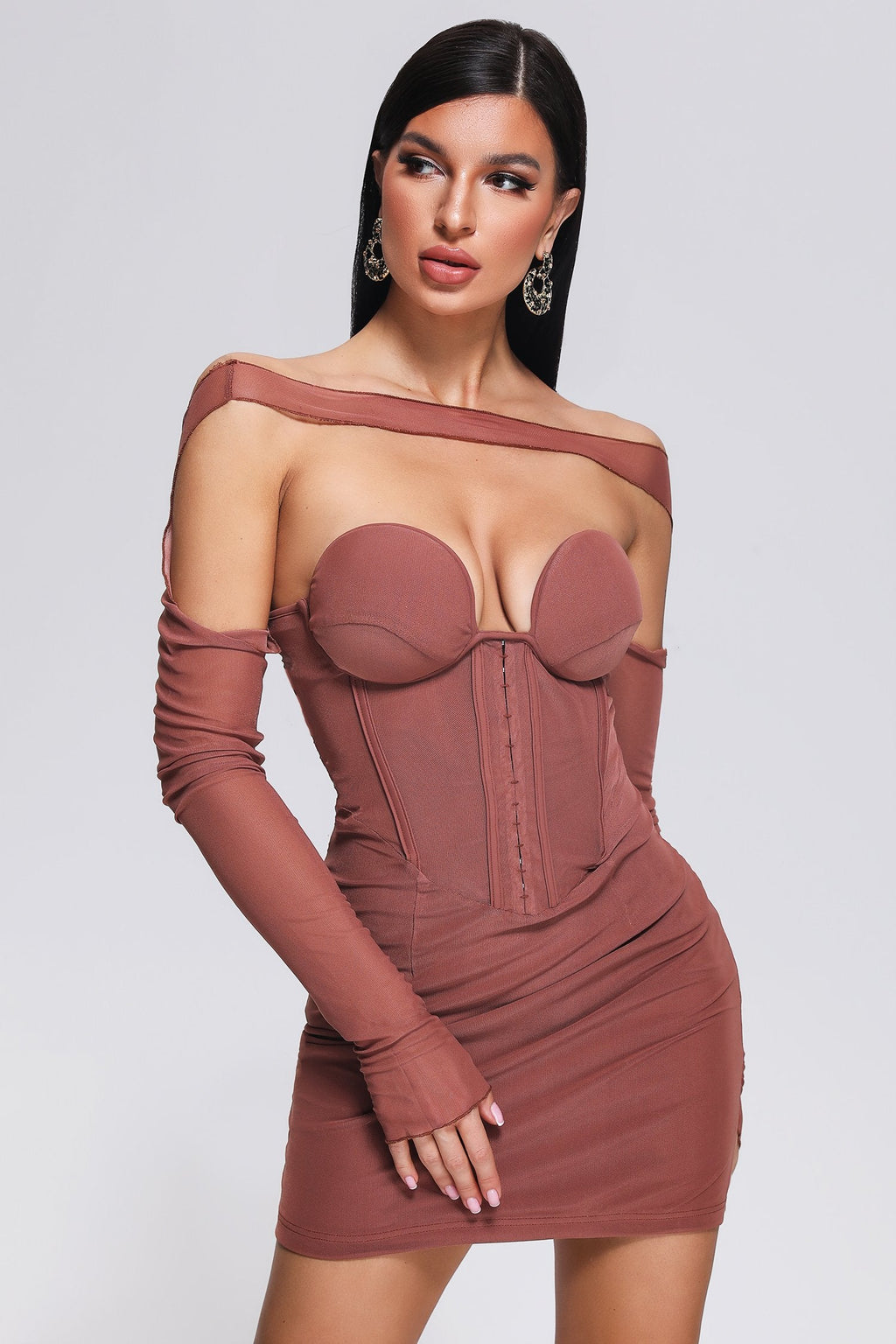 Slare Mesh Mini Dress	